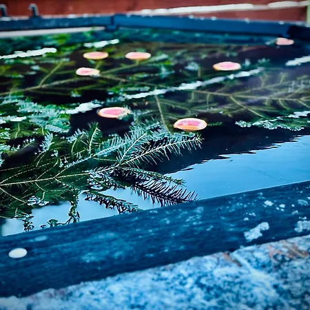 хочу в карпати Апартаменты