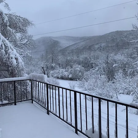 хочу в карпати Сколе