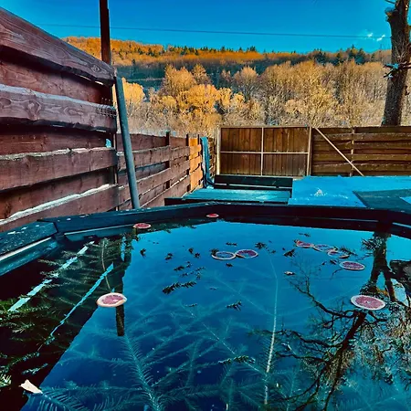 Апартаменты хочу в карпати Сколе