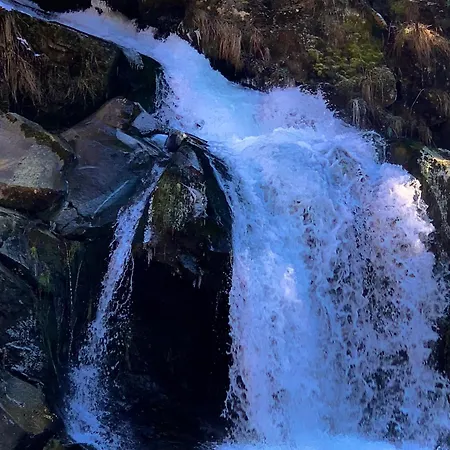 хочу в карпати Апартаменты