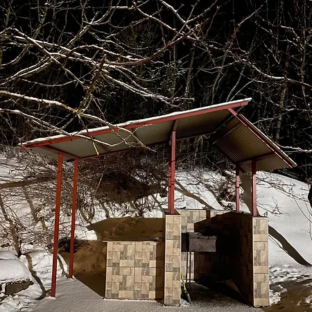 хочу в карпати Апартаменты