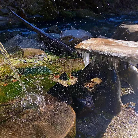 хочу в карпати Апартаменты