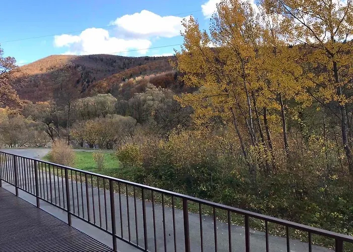 Daire хочу в карпати *
